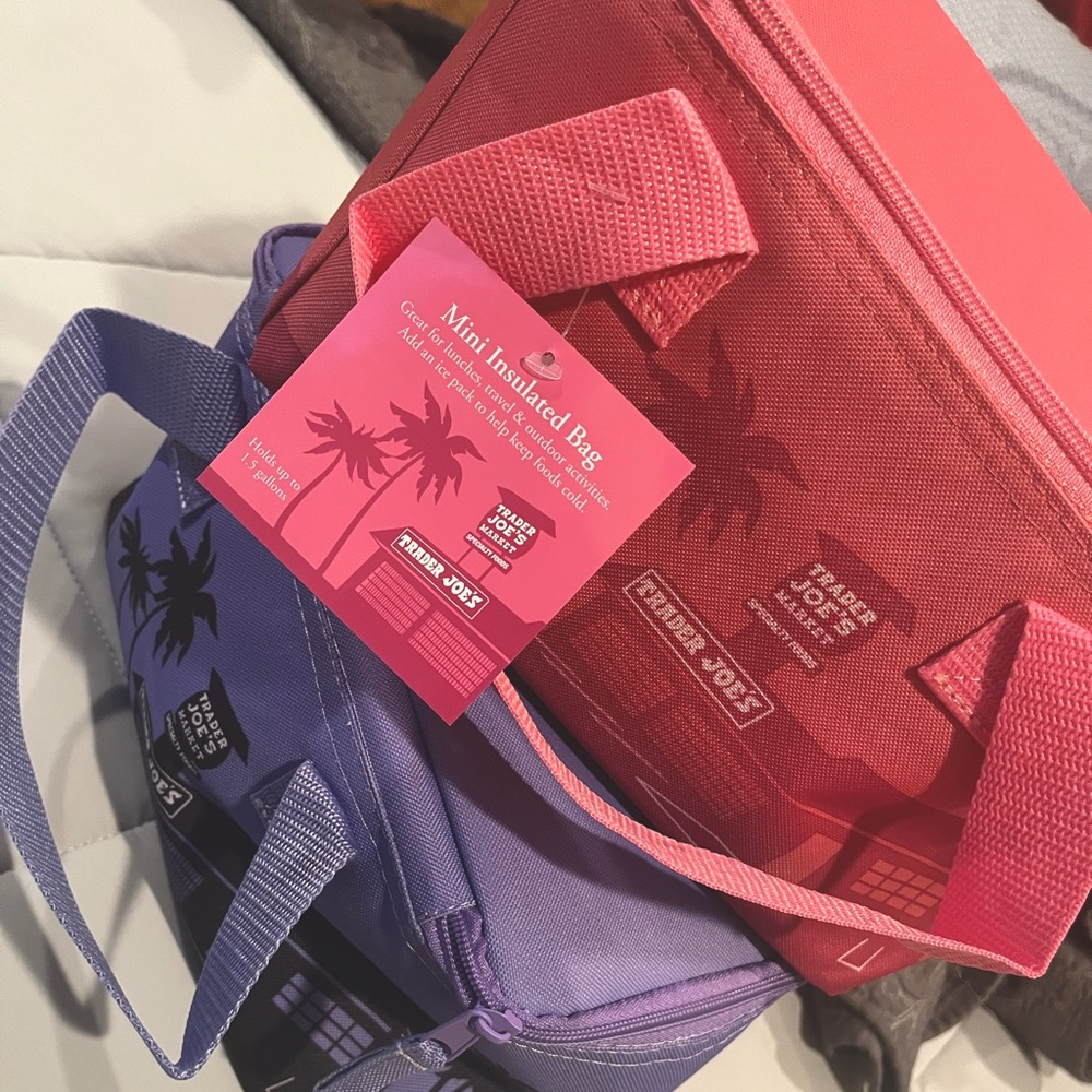 Mini insulated Bag from Trader Joe’s.
